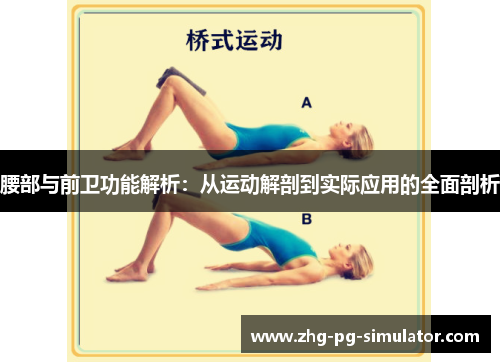腰部与前卫功能解析：从运动解剖到实际应用的全面剖析