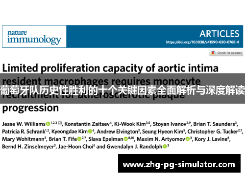 葡萄牙队历史性胜利的十个关键因素全面解析与深度解读