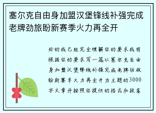 塞尔克自由身加盟汉堡锋线补强完成老牌劲旅盼新赛季火力再全开